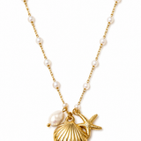 Paxos Shell